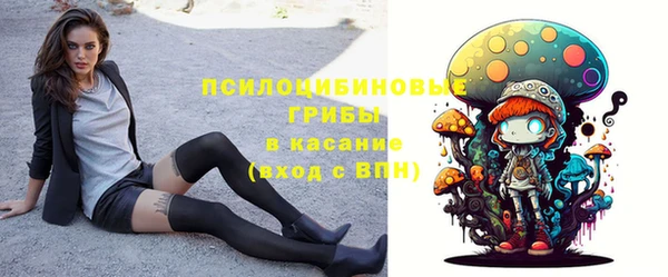 PSILOCYBIN Верея