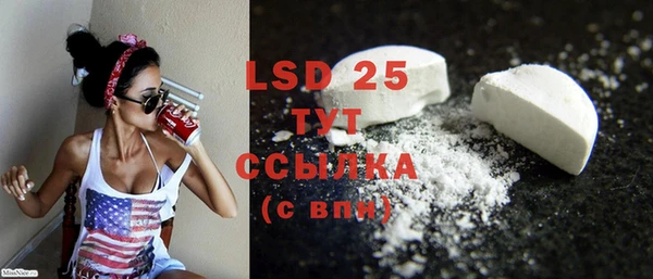 PSILOCYBIN Верея