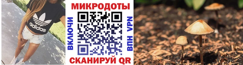 Галлюциногенные грибы GOLDEN TEACHER  Хабаровск 
